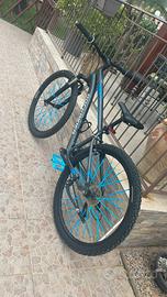 ROCKRIDER ST-100