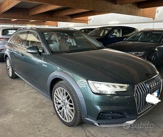 Audi A4 allroad 3.0 TDI 272 CV tiptronic Business