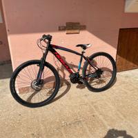 Bici mtb