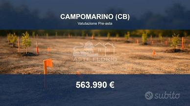 Immobile in asta di 11499 m² a Campomarino