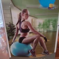  Gym ball 55 cm 