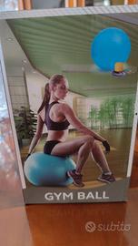  Gym ball 55 cm 