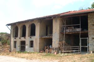 Rustico con noccioleto in Alta Langa