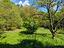 Immagine 25