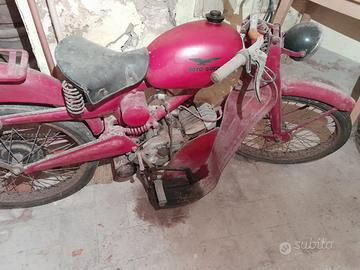 Moto Guzzi Cardellino