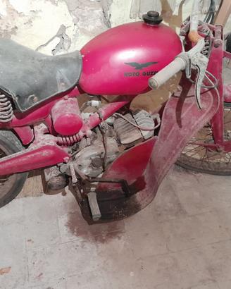 Moto Guzzi Cardellino