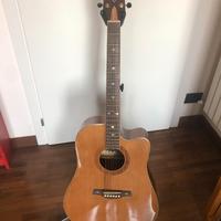 Crusader Guitars CF520 con B-Band T35