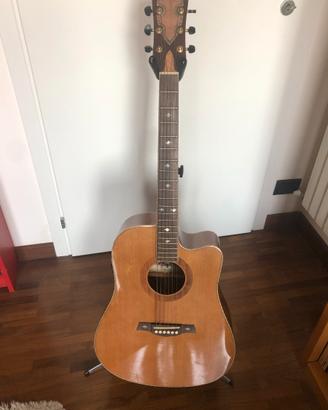 Crusader Guitars CF520 con B-Band T35