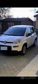 PANDA NEOPATENTATO!!! Ibrida