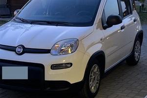 PANDA NEOPATENTATO!!! Ibrida