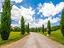Immagine 25