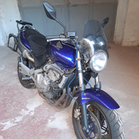 Honda hornet