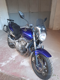 Honda hornet