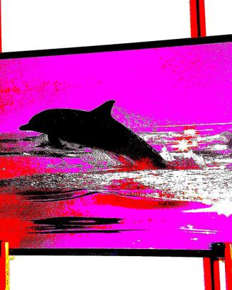 Quadro 76x46 originale Talbot