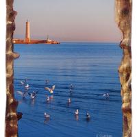 Vista sul porto con gabbiani