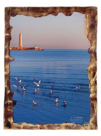 Vista sul porto con gabbiani