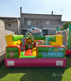 Gonfiabile professionale