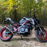 Kawasaki Z900 Z Performance - Full Akrapovic