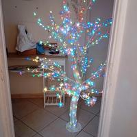 albero
