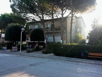 Last minute, Lido di Dante Estate 2025