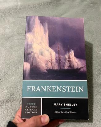 Linbro Frankestein Mary Shelley