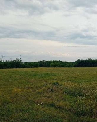 Terreno di 3334 m² a Trezzano Rosa