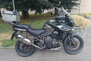 Triumph Tiger 1200 - 2019