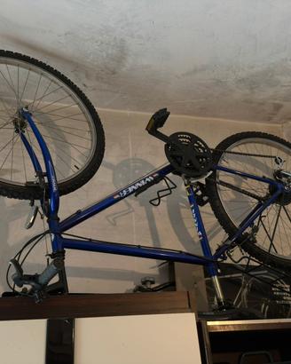 Mountain bike blu r26