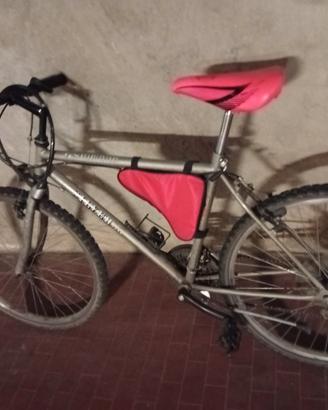 bicicletta Silver cambio Shimano 18 rapporti 