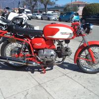 Aermacchi Harley-Davidson Ala Verde 250 - 1964