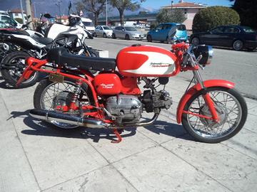 Aermacchi Harley-Davidson Ala Verde 250 - 1964