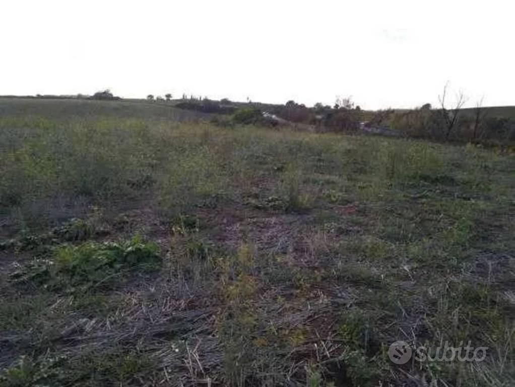 Immobile in asta di 281311 m² a Guidonia Monteceli - Vista 5