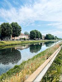 Camera singola con bagno privato in centro Pavia