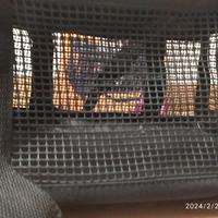 trasportino x gatti o cane piccola tg