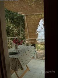 Marina di Pisciotta 100 metri dal mare