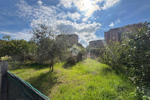 TER. AGRICOLO A LATINA