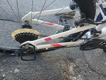 bicicletta ragazza 