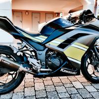 Kawasaki Ninja 300 ABS (Vendita entro Natale 2023)