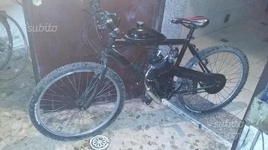 Bicicletta a Motore