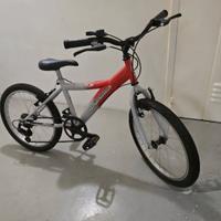 Mountain Bike Ragazzo 20" The Shadow