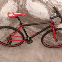 mountain Bike in carbonio e alluminio 