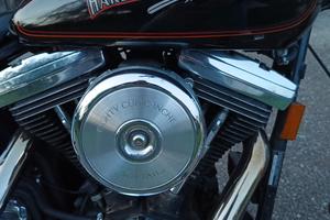 Harley Davidson Softail Custom 1340
