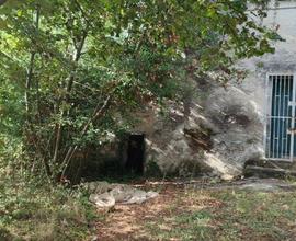 Rif.ar terreno agricolo 21 ettari con uliveto