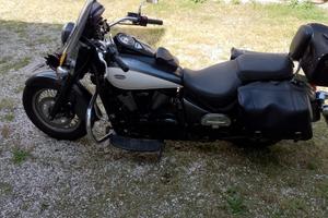 Kawasaki VN Classic 900 anno 2014