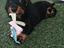 Immagine 4