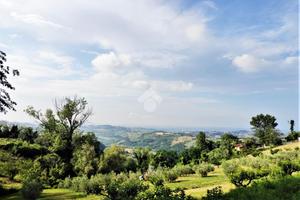 TER. RESIDENZIALE A RONCOFREDDO