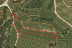 Vallelaghi Covelo - Vigneto e Arativo