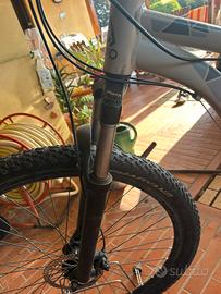 Bici taglia 29