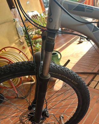 Bici taglia 29