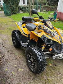 Quad Can am renegade 800